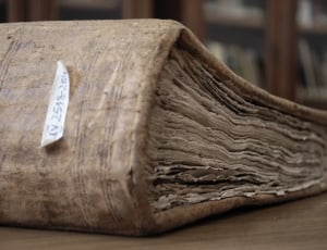 brown covered book thumbnail