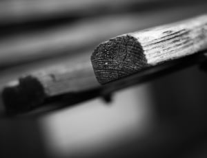 gray scale photography of plank thumbnail