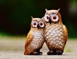brown and white owl ceramic figurines close up photo during daytime thumbnail