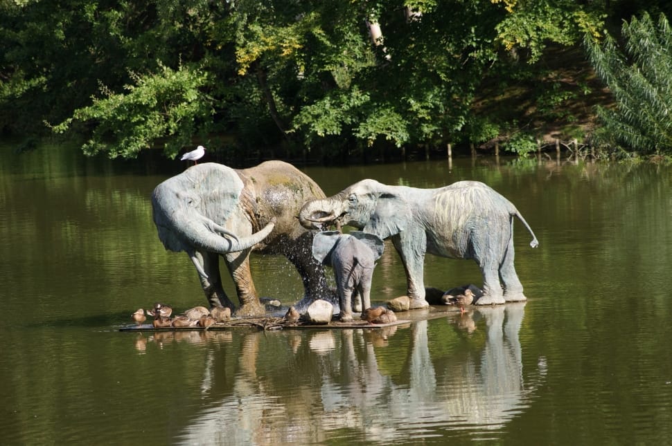 Elephants, Sculpture, Water, Knuthenborg, reflection, animal themes preview
