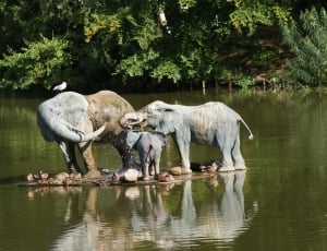 Elephants, Sculpture, Water, Knuthenborg, reflection, animal themes thumbnail
