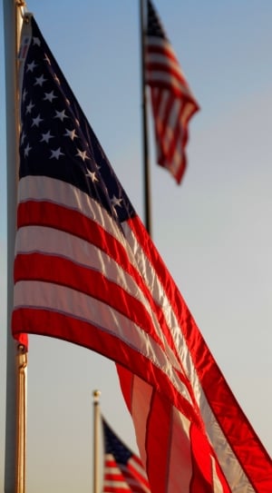 American Flag, Us Flag, United States, patriotism, flag thumbnail