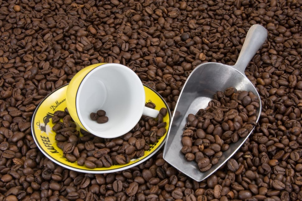 stainless steel coffee shovel, yellow ceramic teacup, saucer and coffee bean lot preview