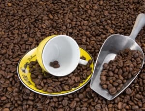 stainless steel coffee shovel, yellow ceramic teacup, saucer and coffee bean lot thumbnail