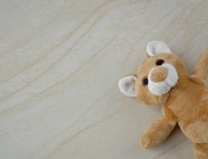 brown and white bear plush toy thumbnail