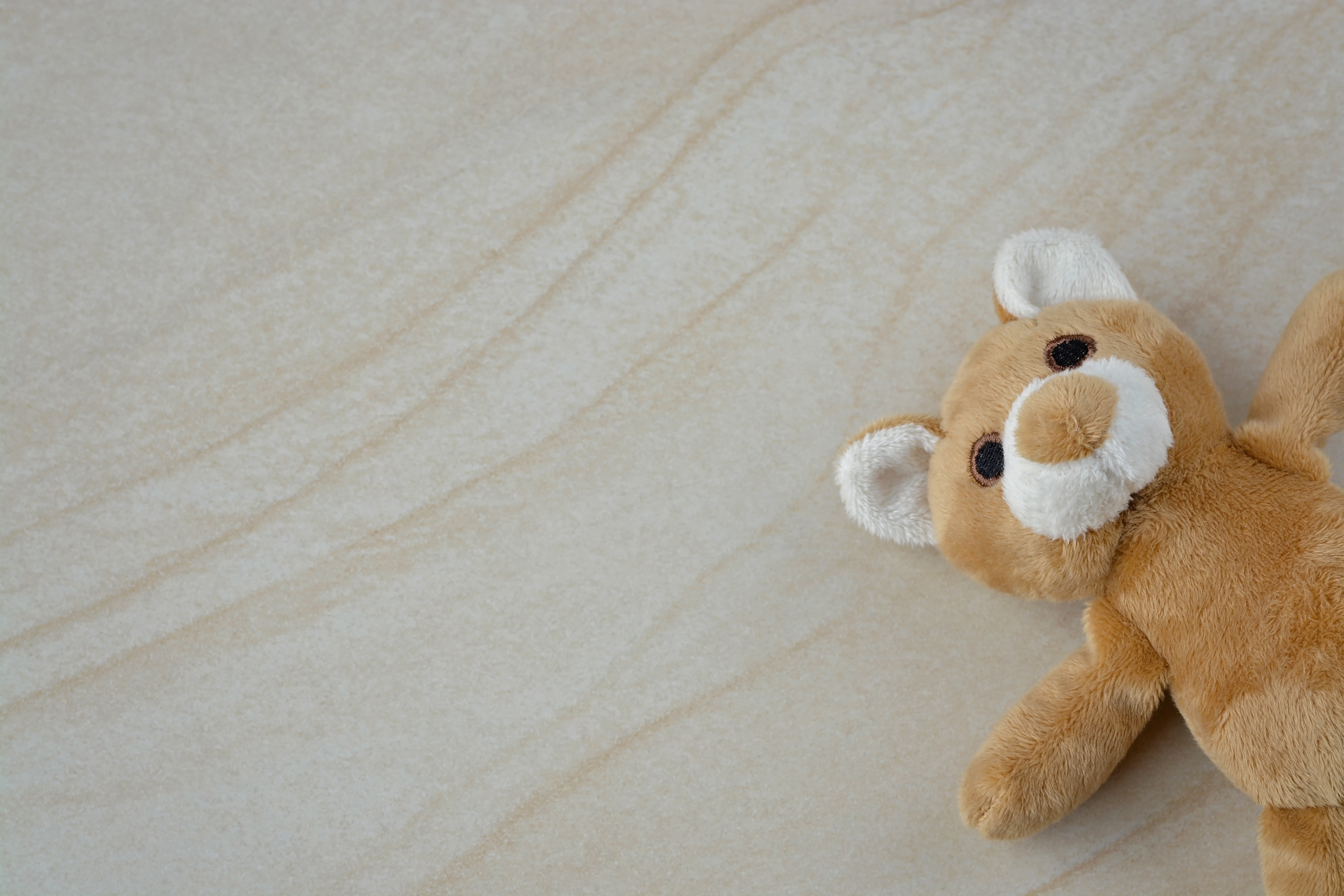 brown and white bear plush toy