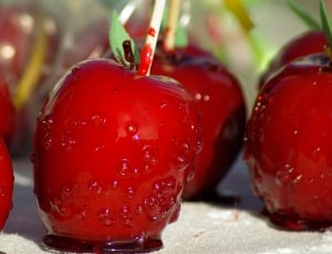 shallow focus photography of  red cherries thumbnail