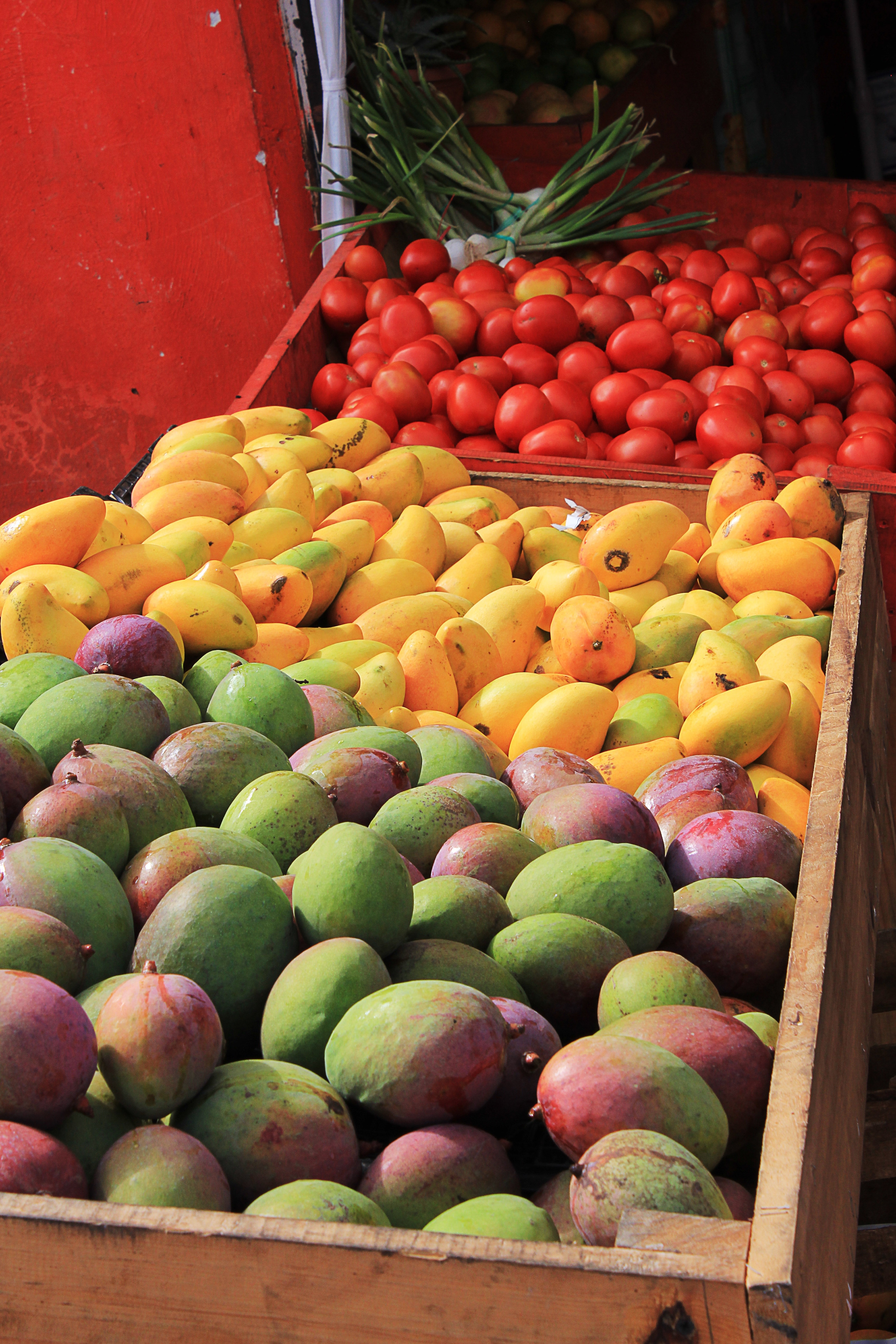 Download Red Yellow And Green Mangoes On Wooden Crates Free Image Peakpx PSD Mockup Templates