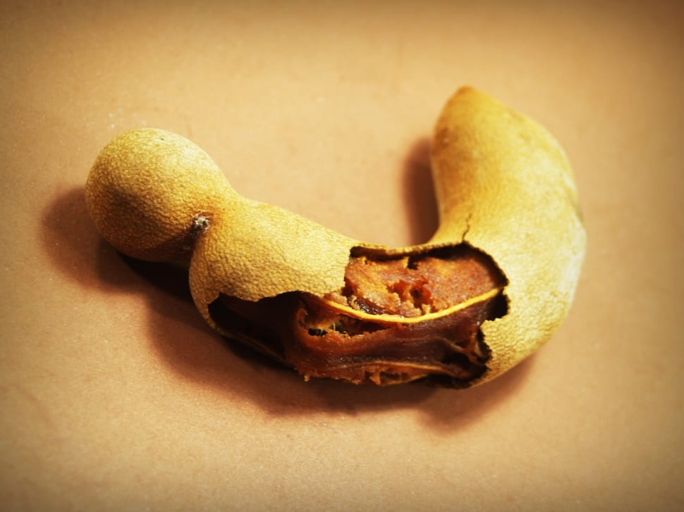 Tamarind, Ripe, Spice, Isolated, no people, single object preview
