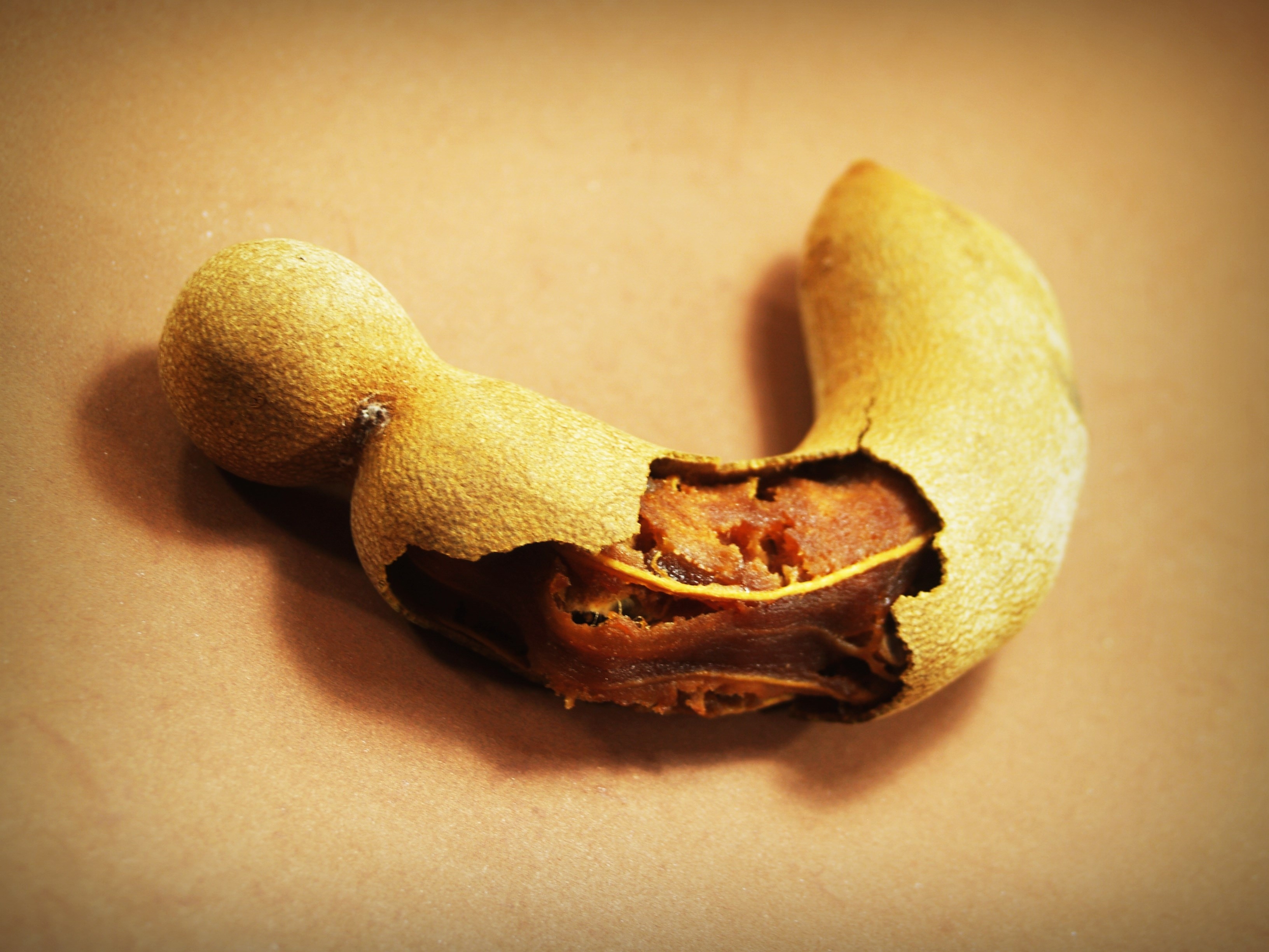 Tamarind, Ripe, Spice, Isolated, no people, single object