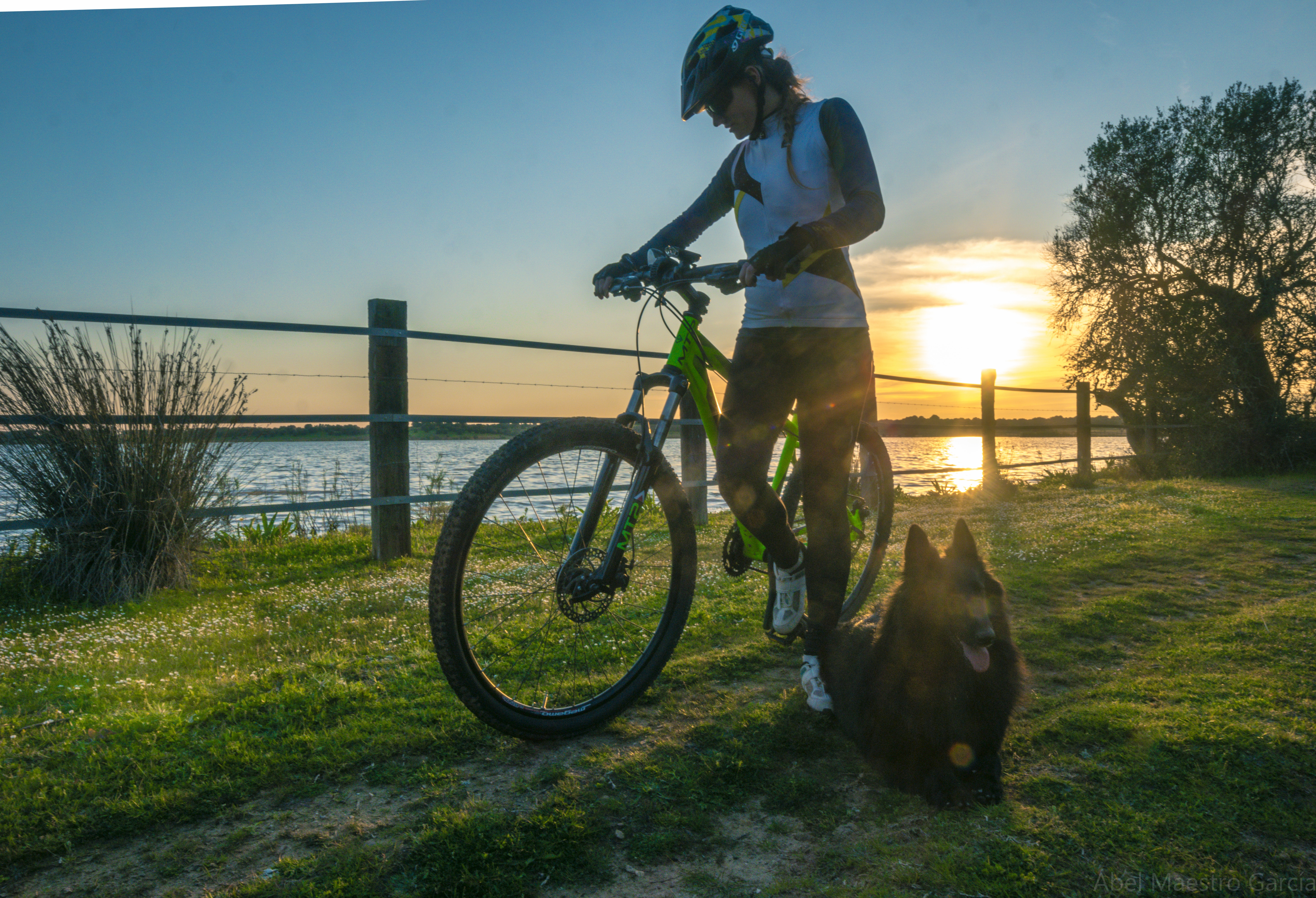 woman riding bike with brown dog in morning