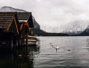 photography of grey mountain near body of water thumbnail