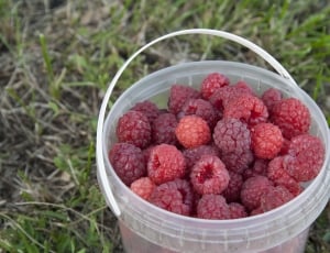 red berry lot thumbnail
