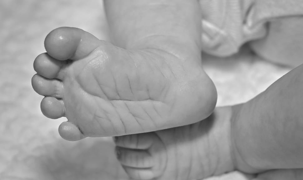 Feet, Newborn, Baby Feet, Baby, Small, human body part, human hand preview