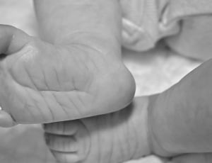 Feet, Newborn, Baby Feet, Baby, Small, human body part, human hand thumbnail