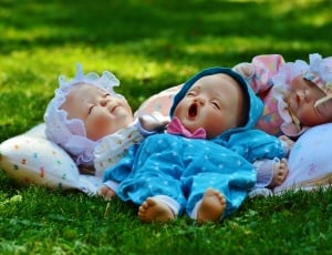 Eyes Closed, Babies, Three, Sleep, grass, lying down thumbnail
