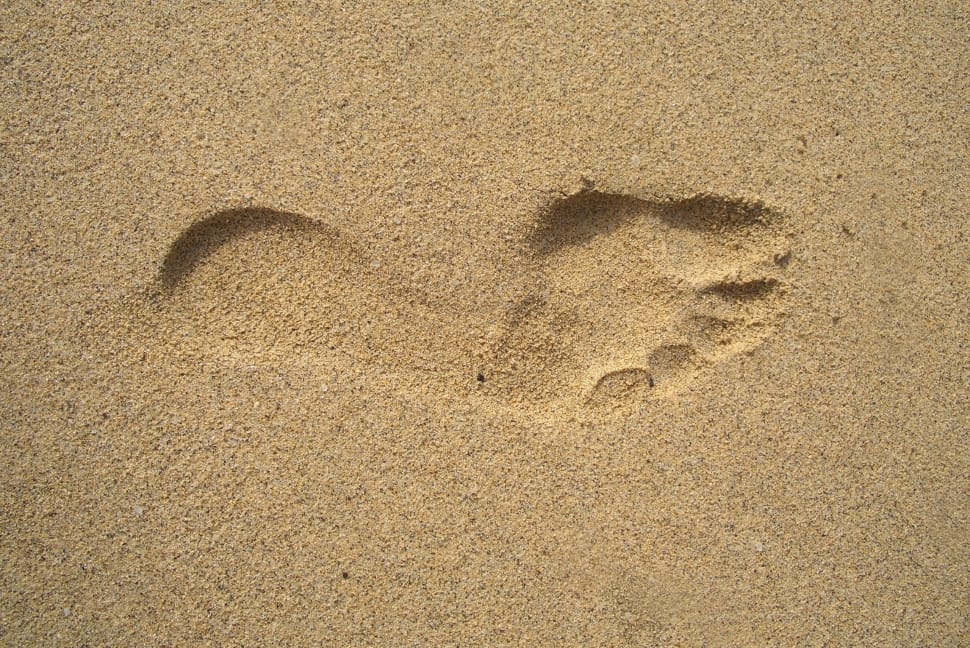 footprint on beige sand preview