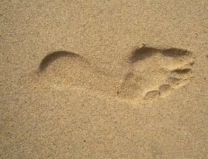 footprint on beige sand thumbnail