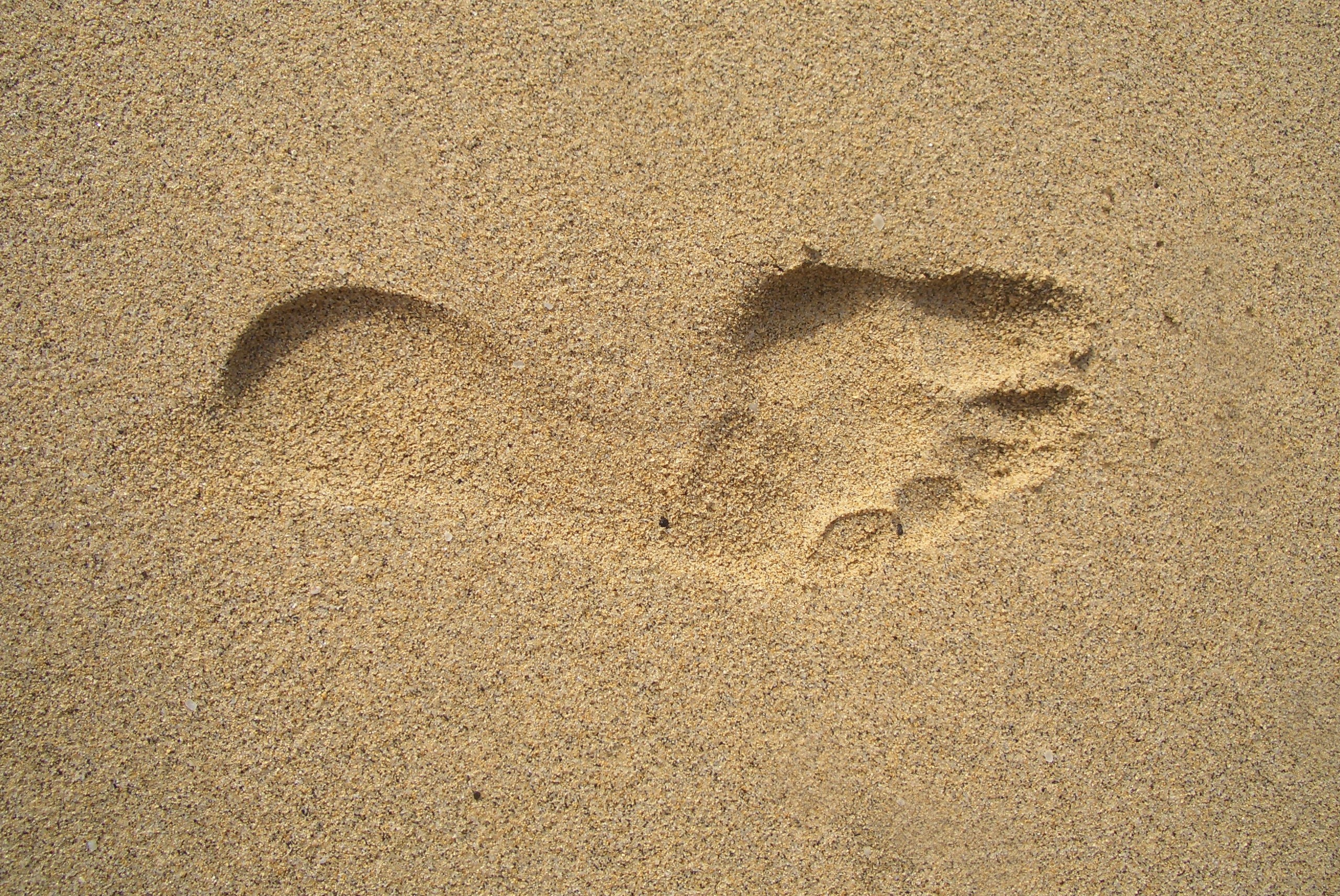 footprint on beige sand