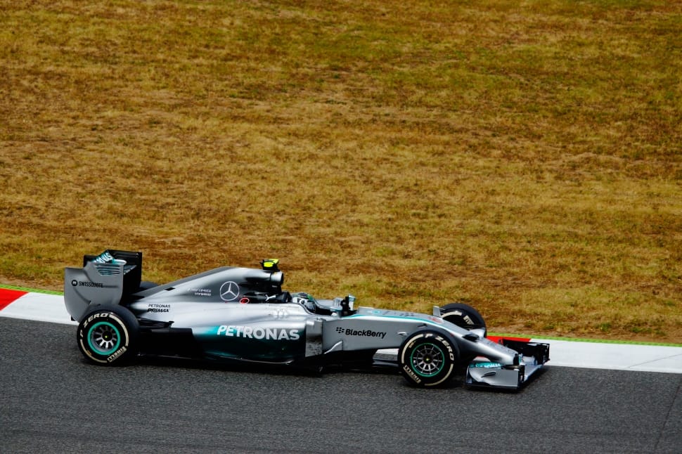 gray and white petronas racing car preview