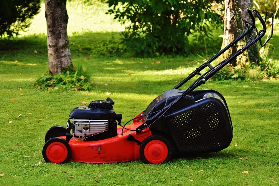 black and red Push lawn mower preview