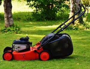 black and red Push lawn mower thumbnail