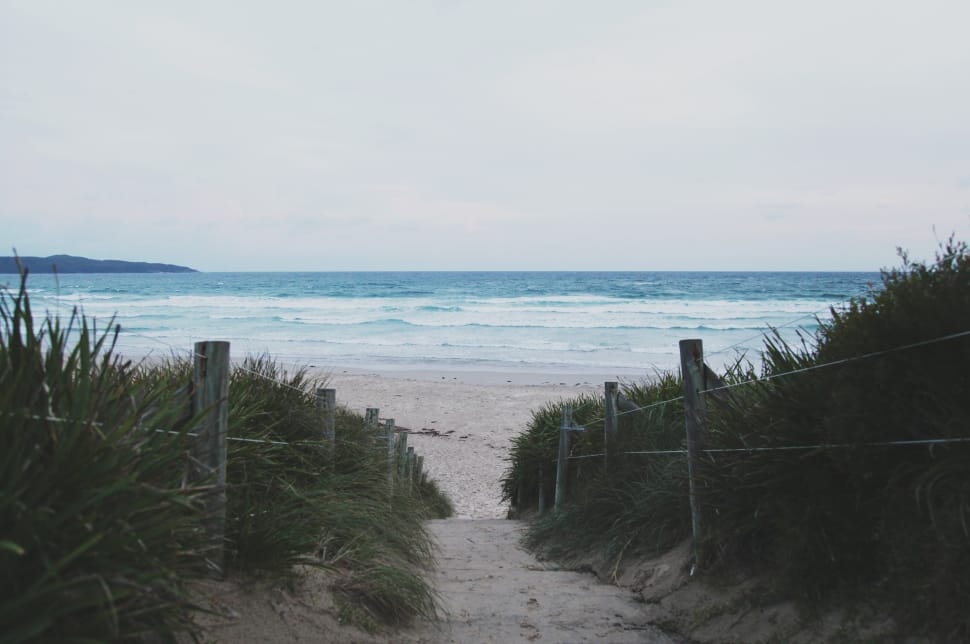 brown sand pathway to seashore with green grass preview