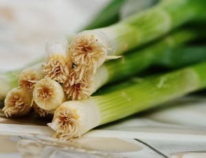 Spring Onions, Leek, Delicious, Food, food and drink, healthy eating thumbnail
