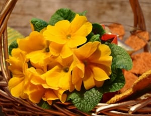 brown wicker basket with yellow petaled flowers thumbnail