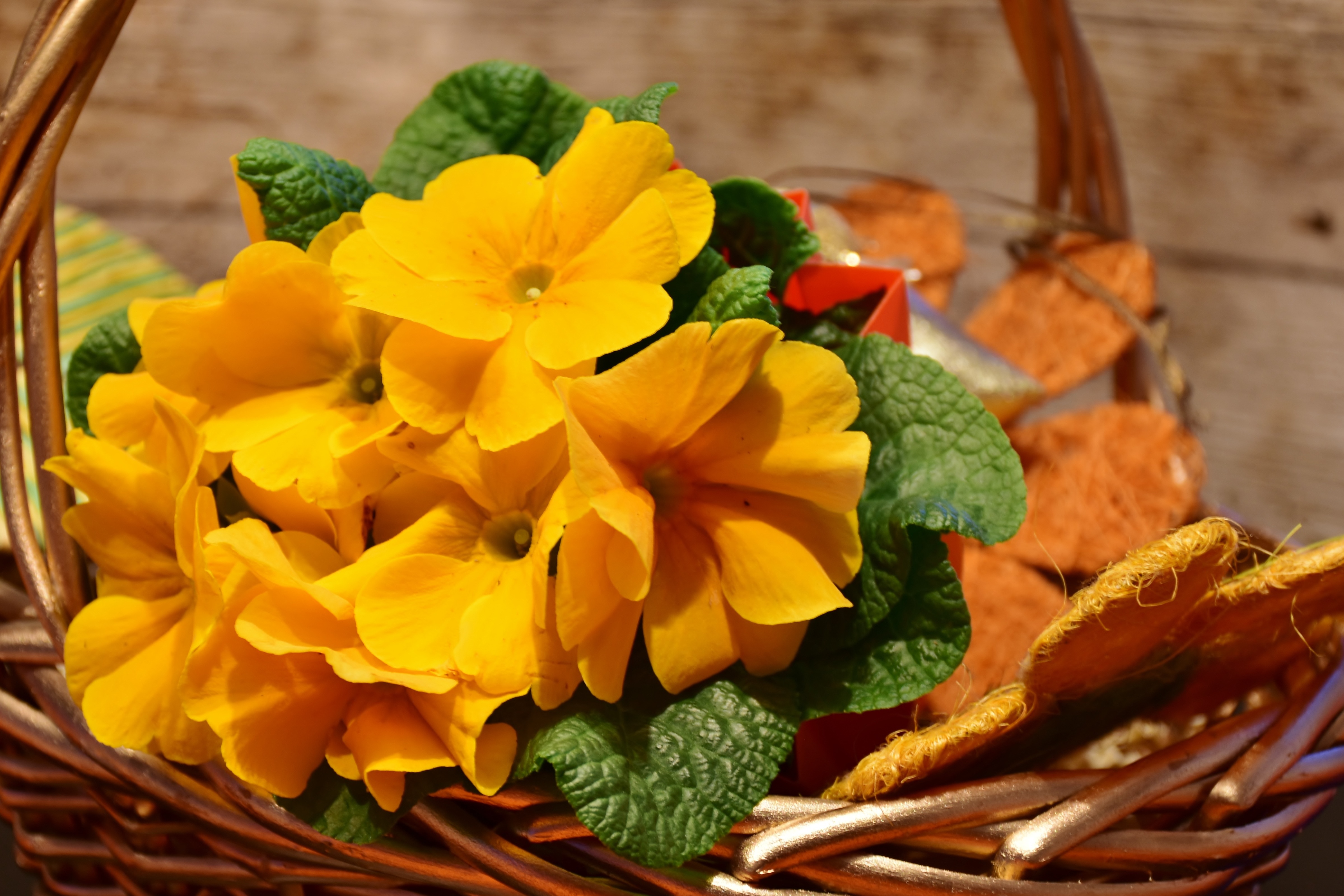 brown wicker basket with yellow petaled flowers