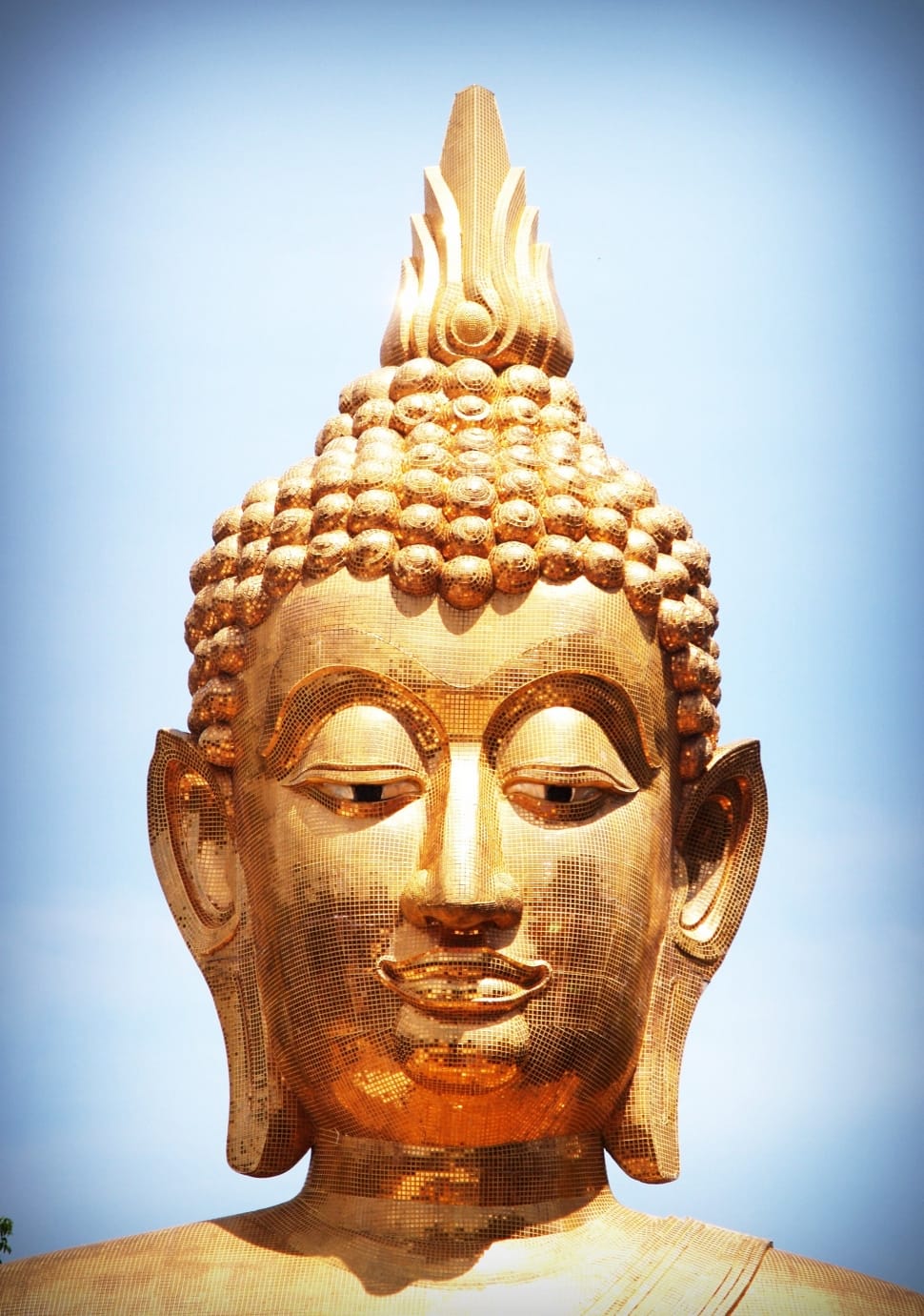 brown buddha's head preview