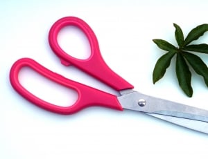 red scissors with green leaf thumbnail