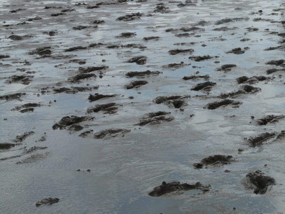 Wadden Sea, Traces, Mudflat Hiking, Hike, backgrounds, no people preview
