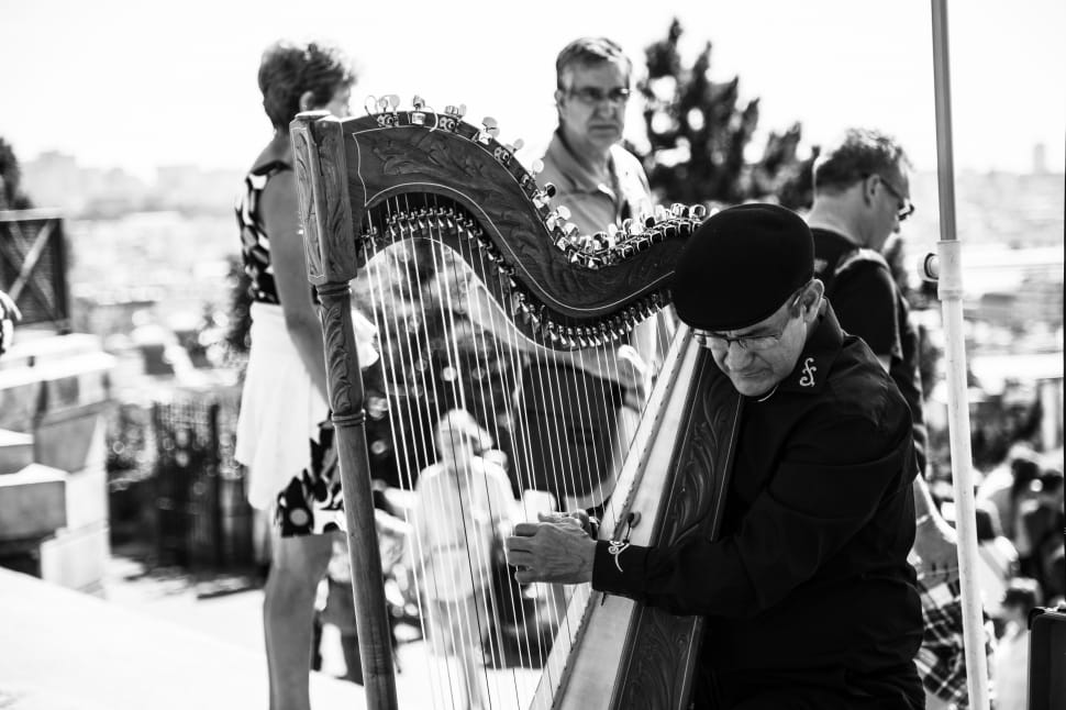 brown string instrument preview