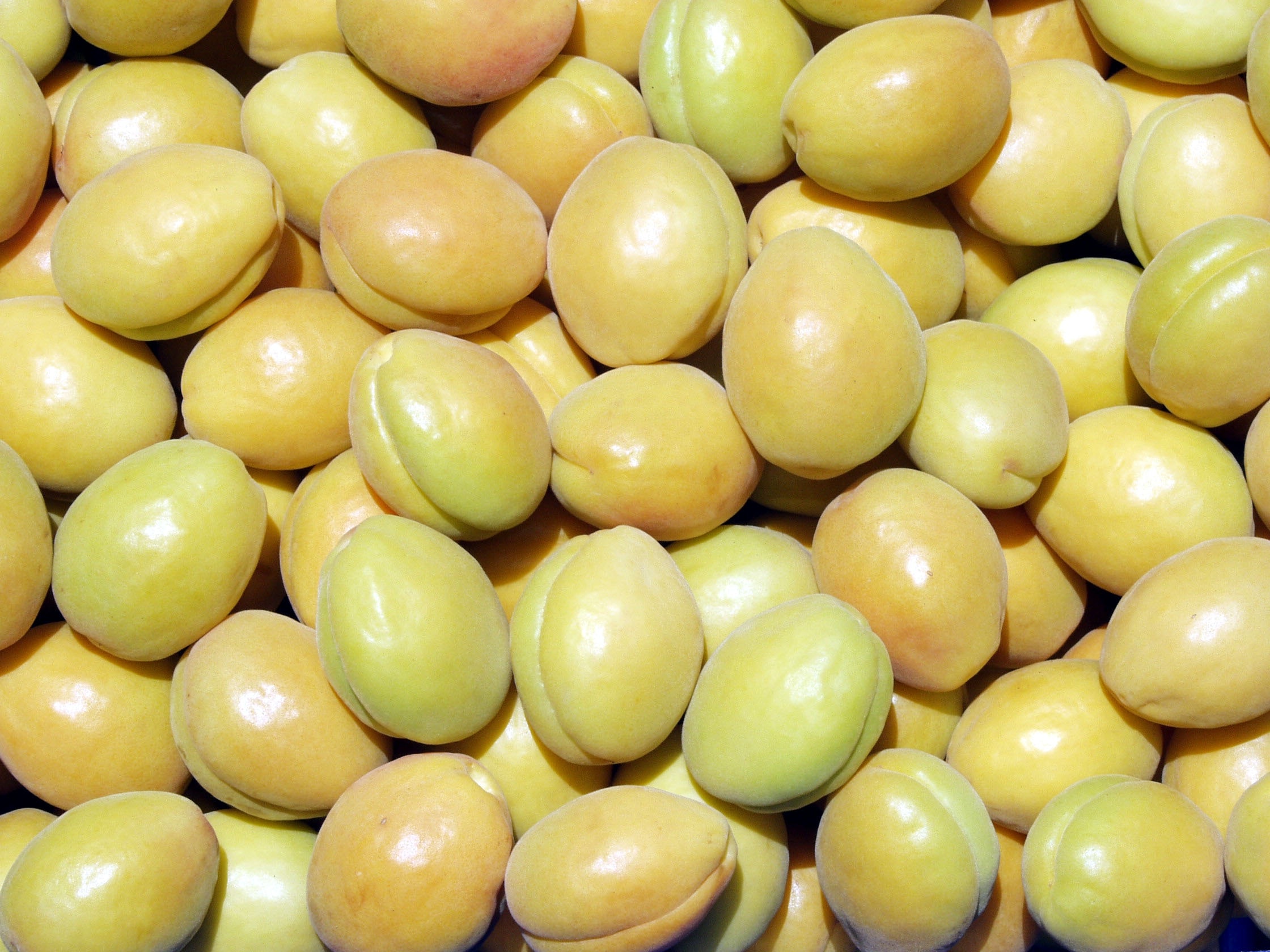 yellow and brown oval fruit