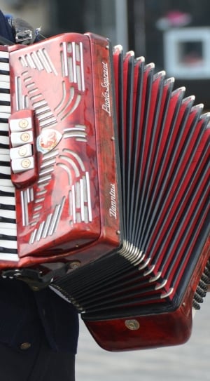 Instrument, Harmonica, Play, Music, red, accordion thumbnail