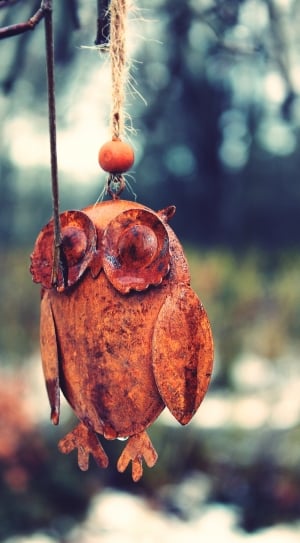 selective focus photography of wooden owl hanging decor thumbnail