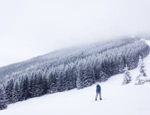 person snowboarding on snow cover slope near trees thumbnail