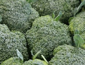 Vegetables, Broccoli, Food, green color, vegetable thumbnail