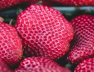 red and green strawberry fruits lot thumbnail