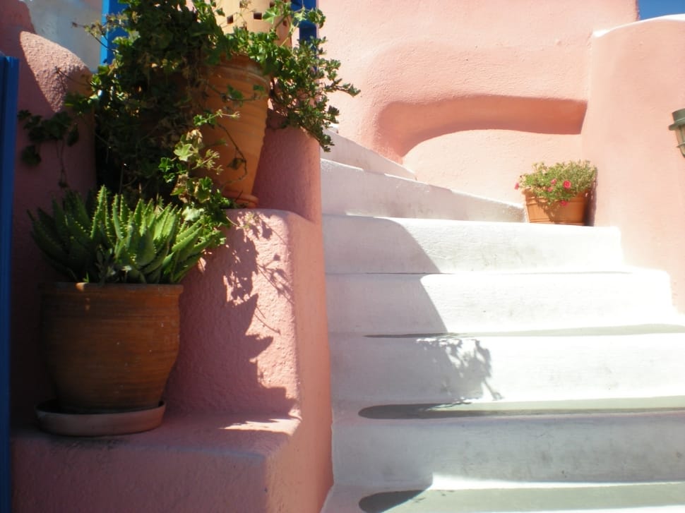 Greek Island, Flowers, Stair, Santorini, potted plant, plant preview