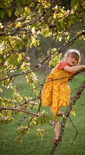 Dress, Human, Child, Tree, Girl, Person, child, children only thumbnail