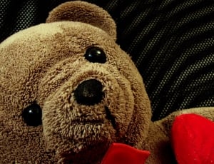 Teddy Bear, Child, Toy, Plush, Misiak, toy, teddy bear thumbnail