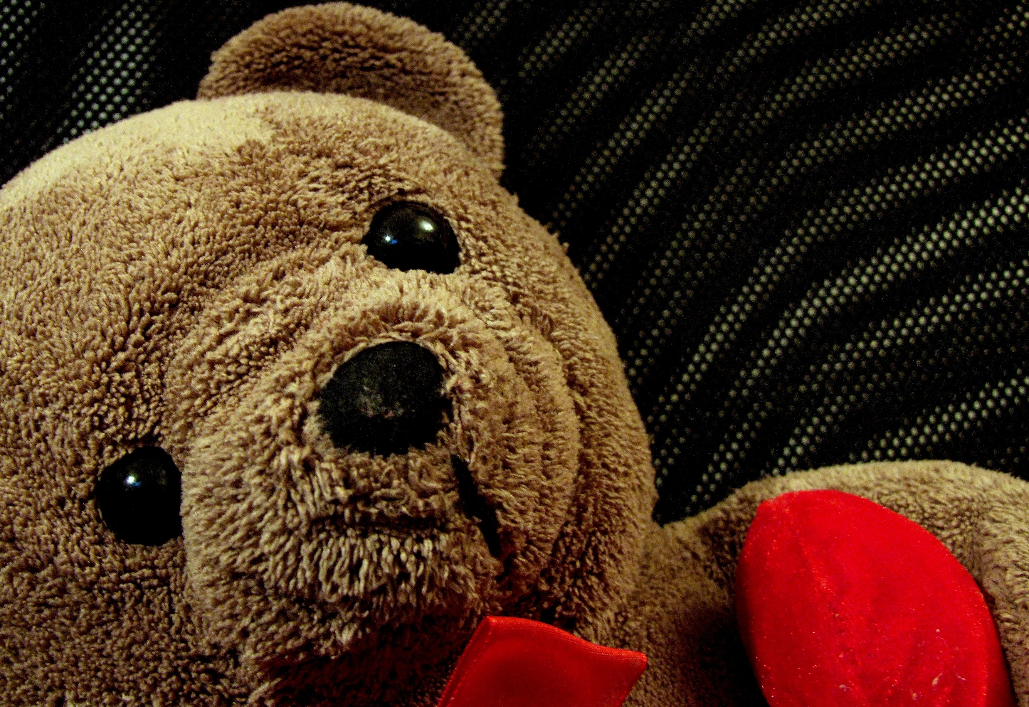 Teddy Bear, Child, Toy, Plush, Misiak, toy, teddy bear