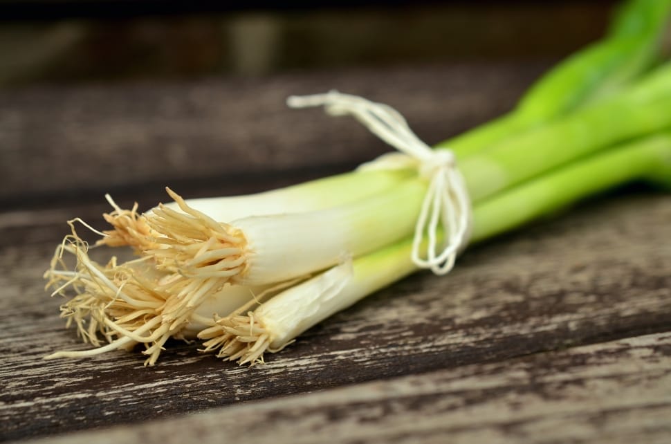 close up photo of spring onions preview