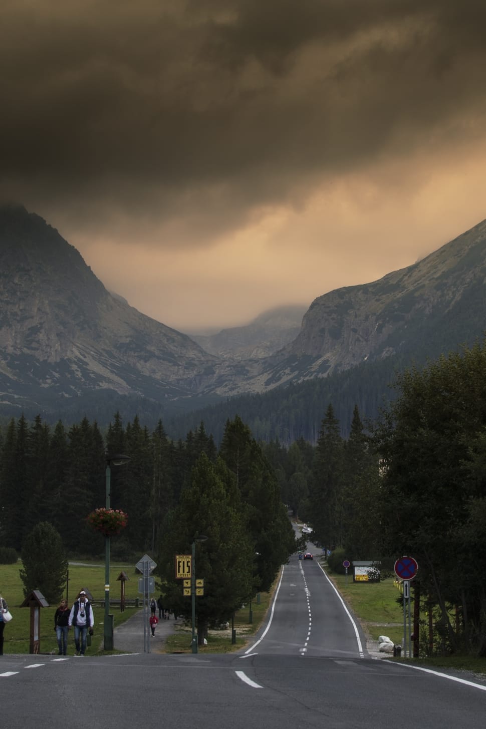 roadway beside green trees preview