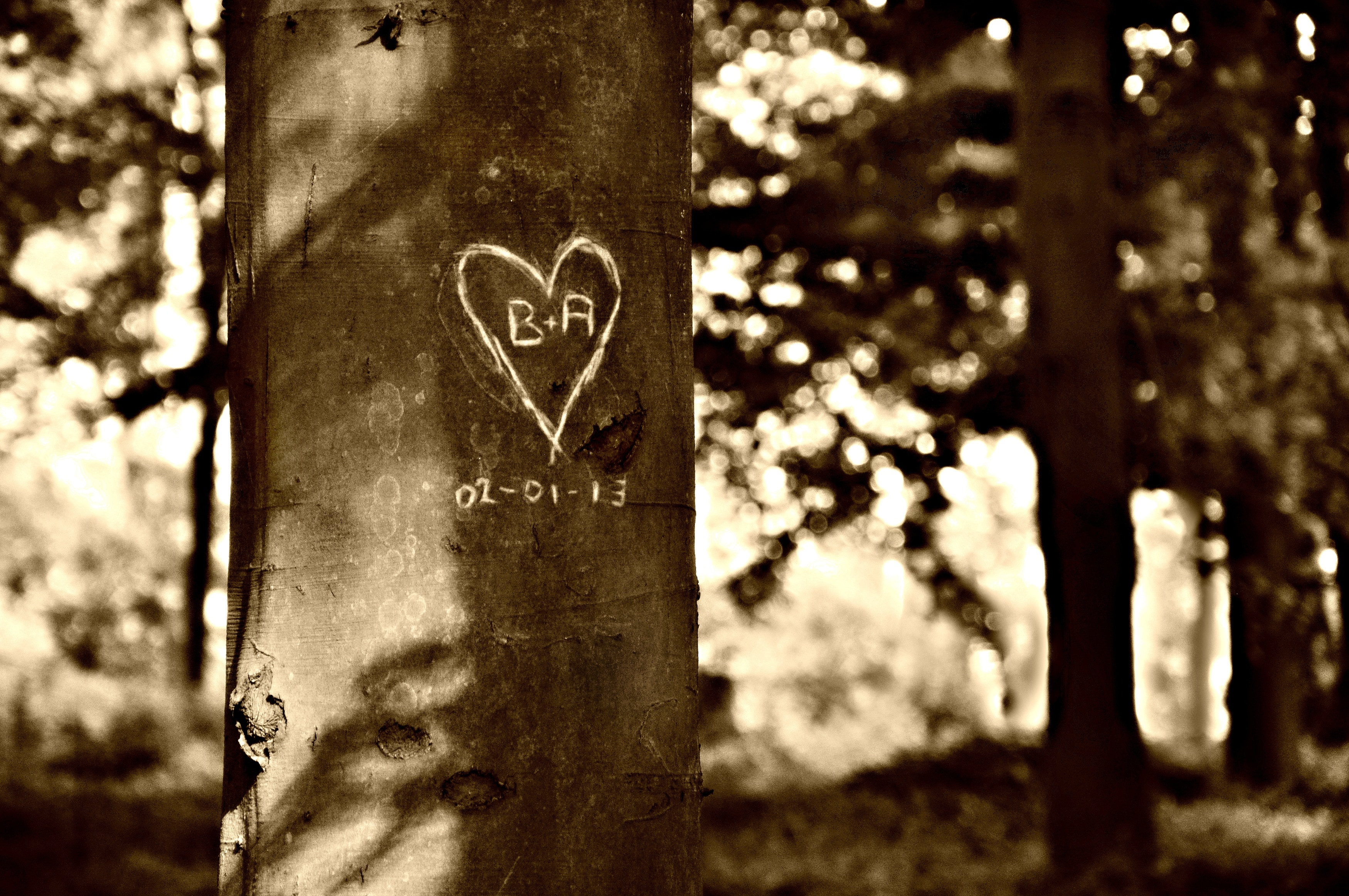 Valentine, Tree, Heart, Carving, communication, love