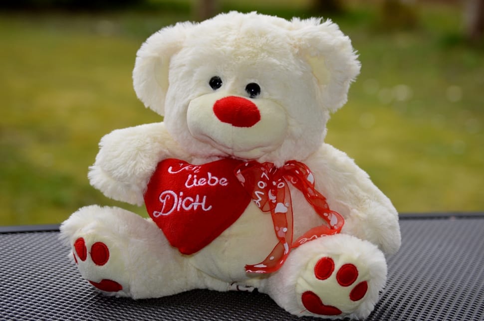 white and red bear plush toy preview