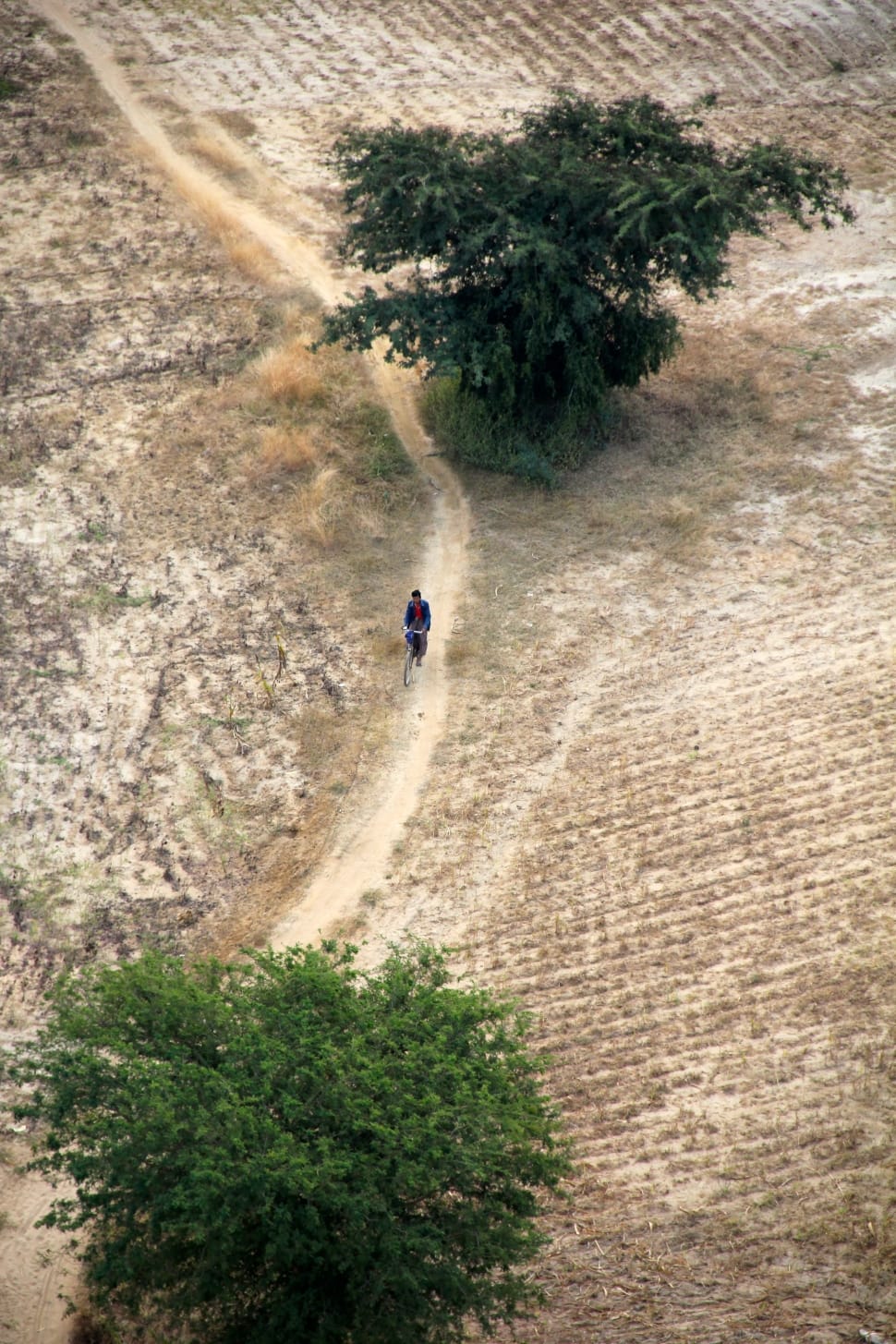 aerial photo of man riding on bicycle preview