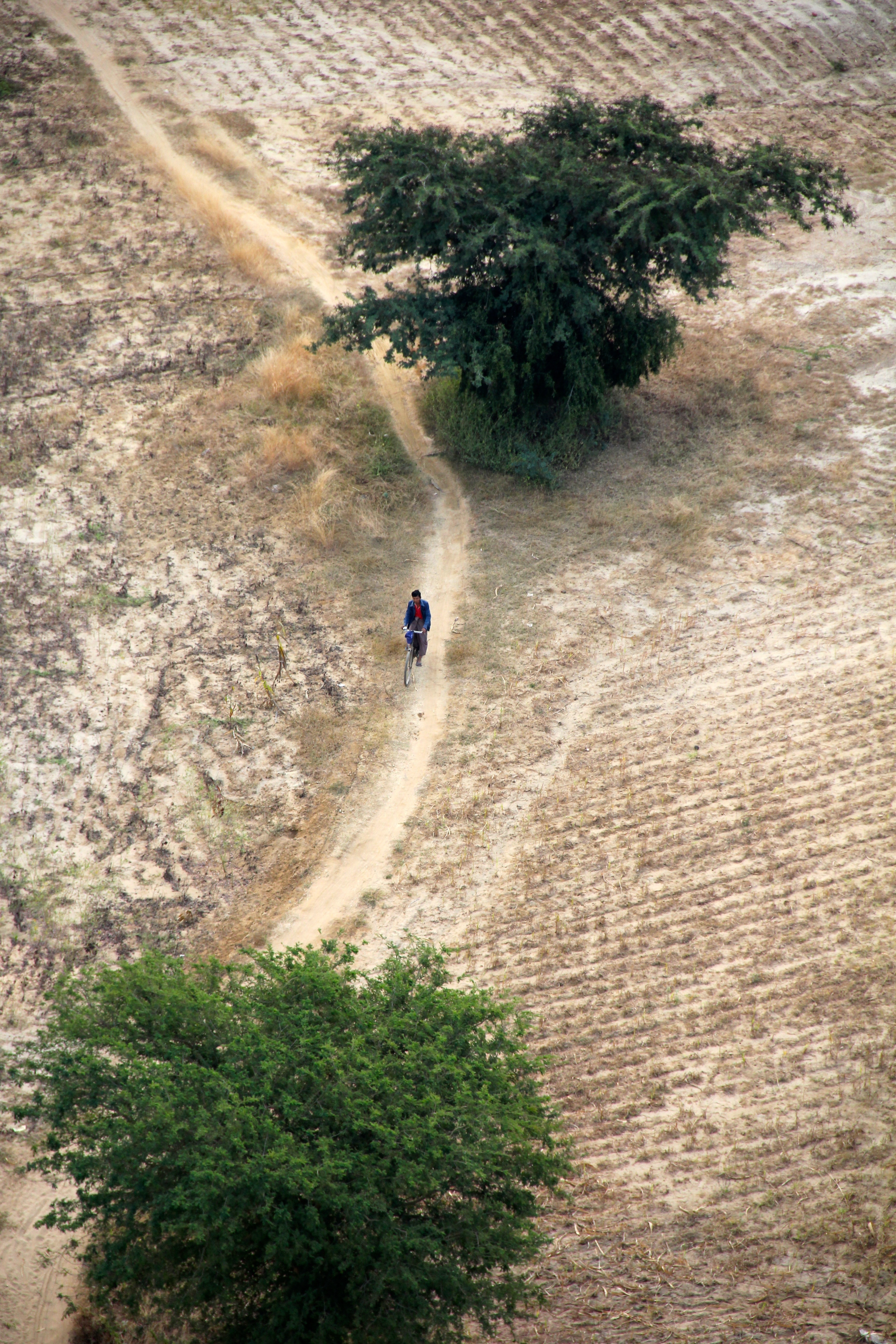 aerial photo of man riding on bicycle